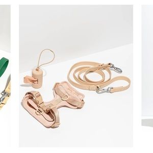 Wild one tan harness kit